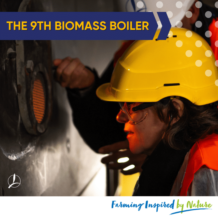 9th biomass boiler TIMAC AGRO