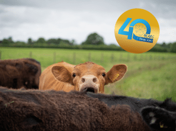 40 ans Production Animale