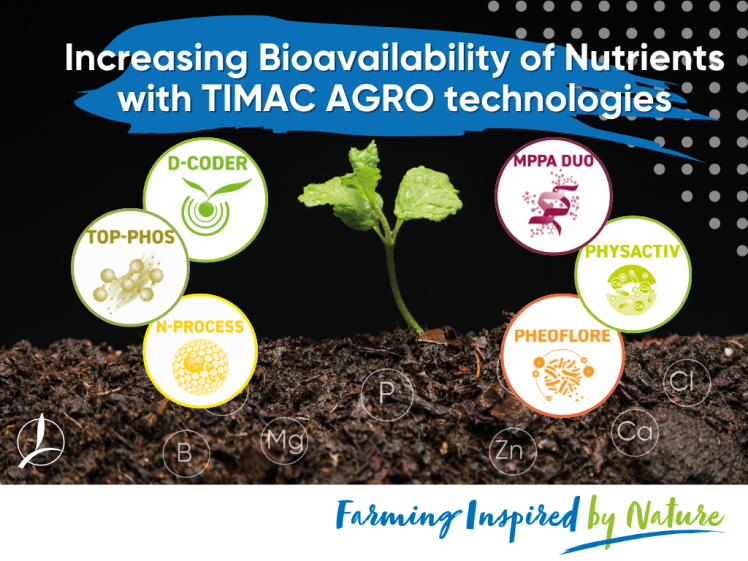 fertilizer,Nutrient,Sustainable Agriculture,Bioavailability