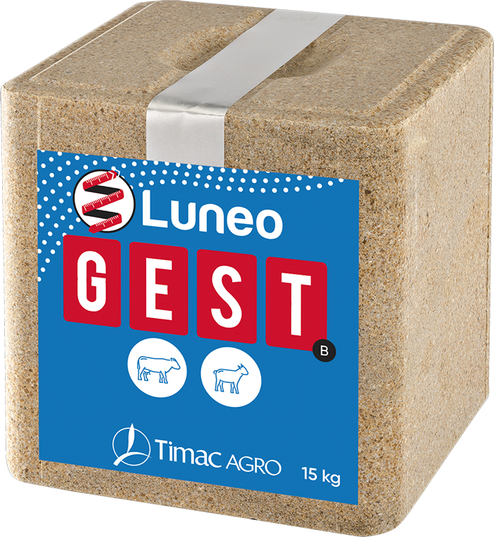 LUNEO GEST B