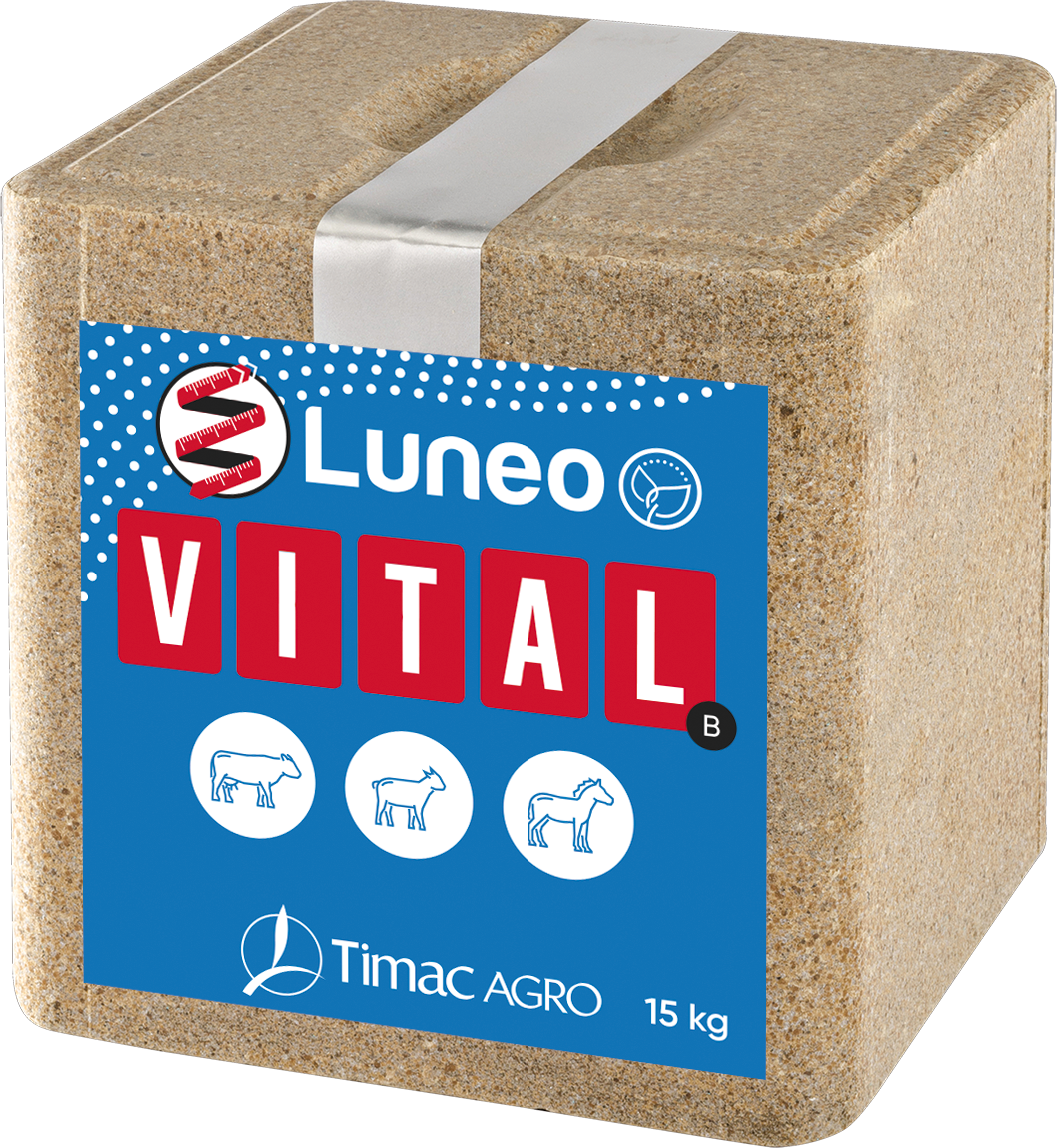 LUNEO VITAL B