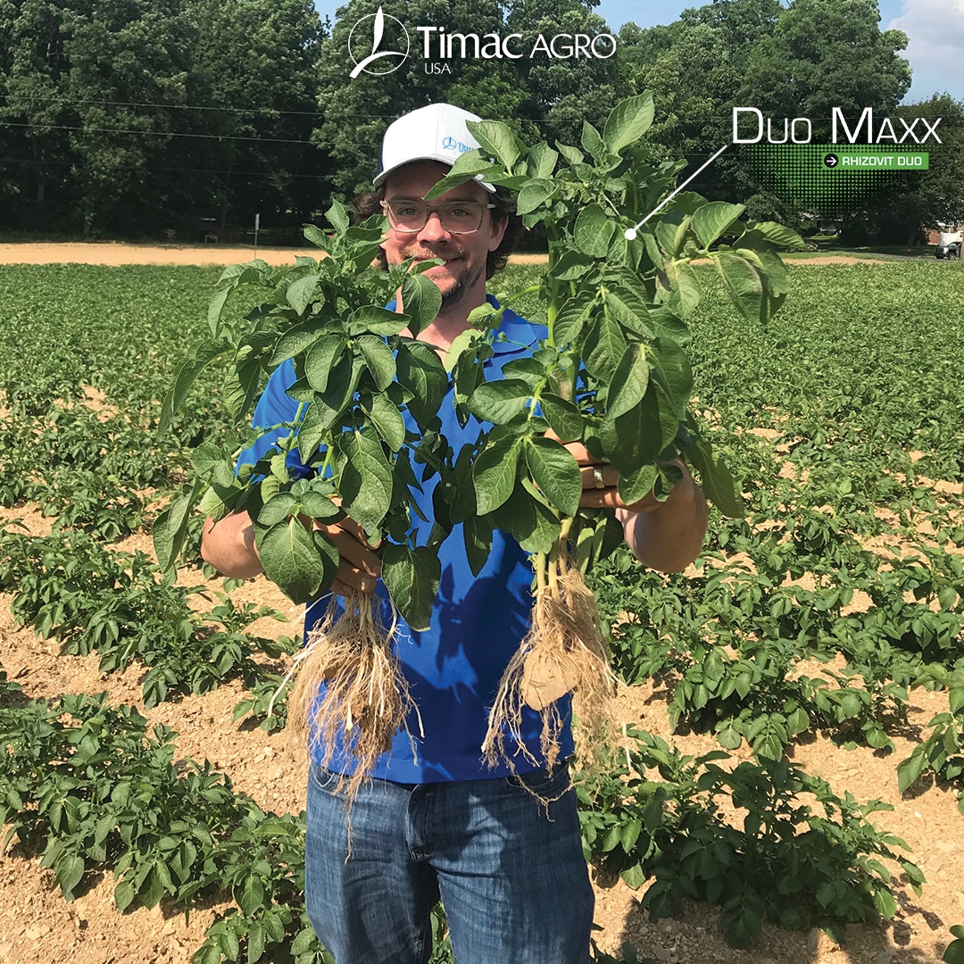 Side-by-side image showing DUO MAXX visual advantage in bell pepper plant establishment.
