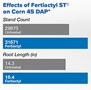 Effects of FERTIACTYL ST on corn 45 days after planting: +1,801 stand counts and +4.1 inches in root length.