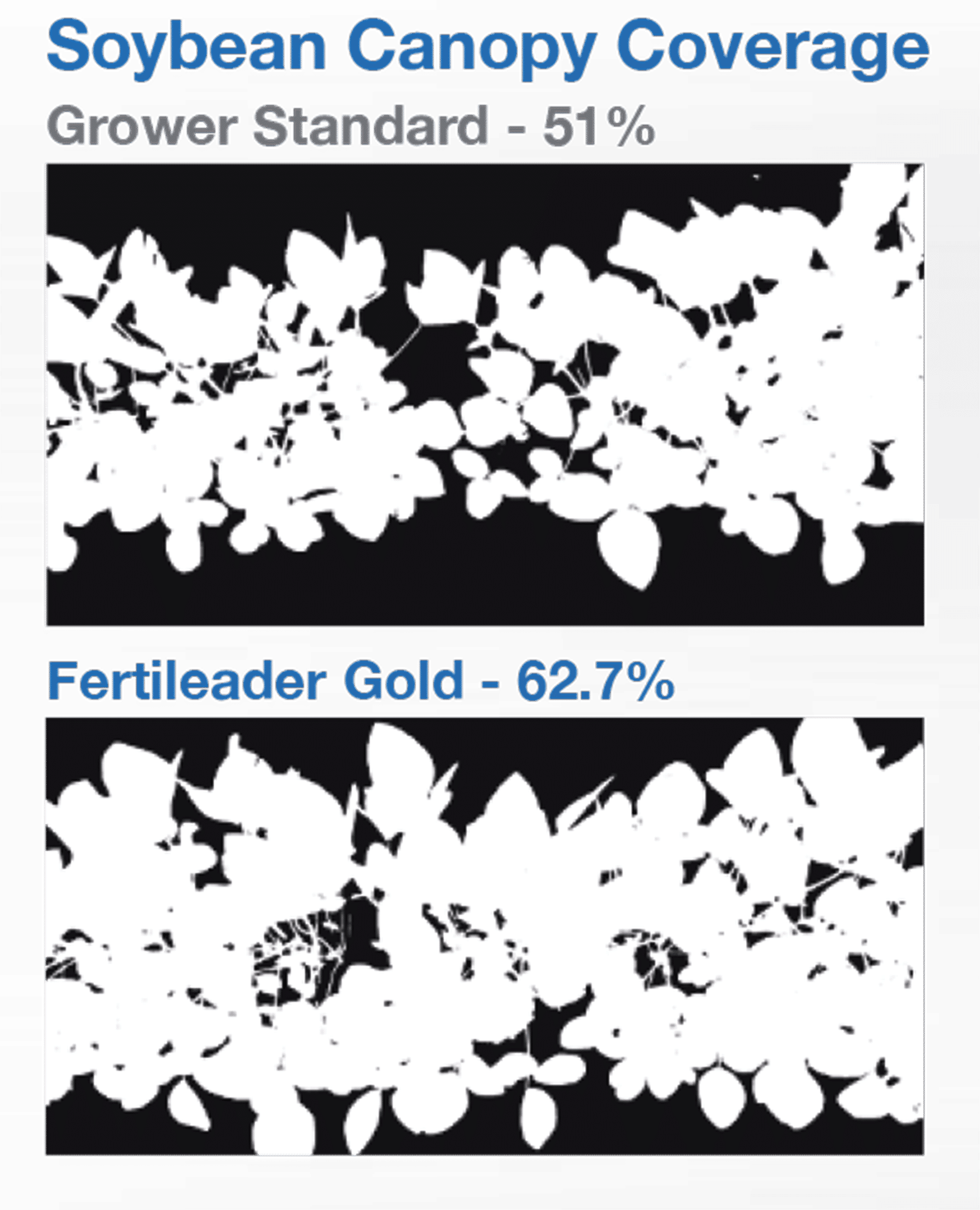 Image showing difference in canopy coverage between FERTILEADER (62.7% canopy coverage) and grower standard (51% coverage).