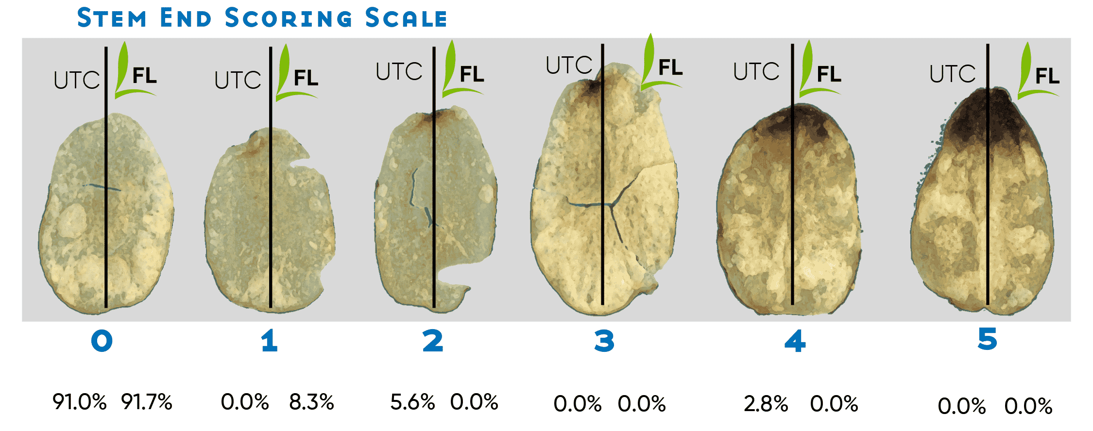 Image showing FERTILEADER visual advantage on potato stem end scoring scale.