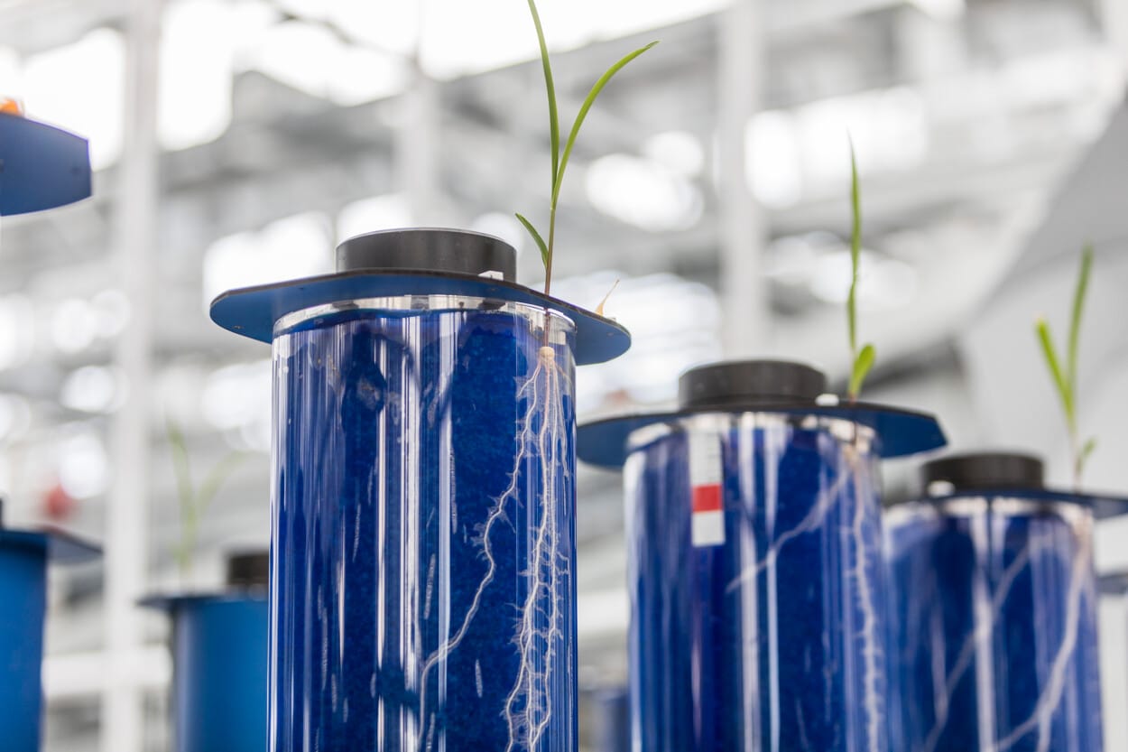 Image showing research equipment on plant nutrition based on the Roullier Global Innovation Center (CMI0, in Saint-Malo, France.