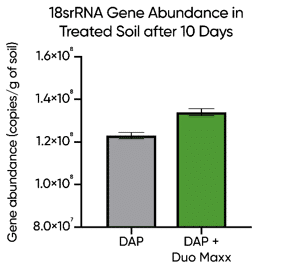 Bar chart showing DUO Complex's 18srRNA gene abundance in treated soil after 10 days, compared to untreated DAP.