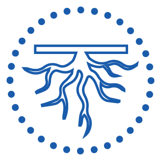 GZA root development