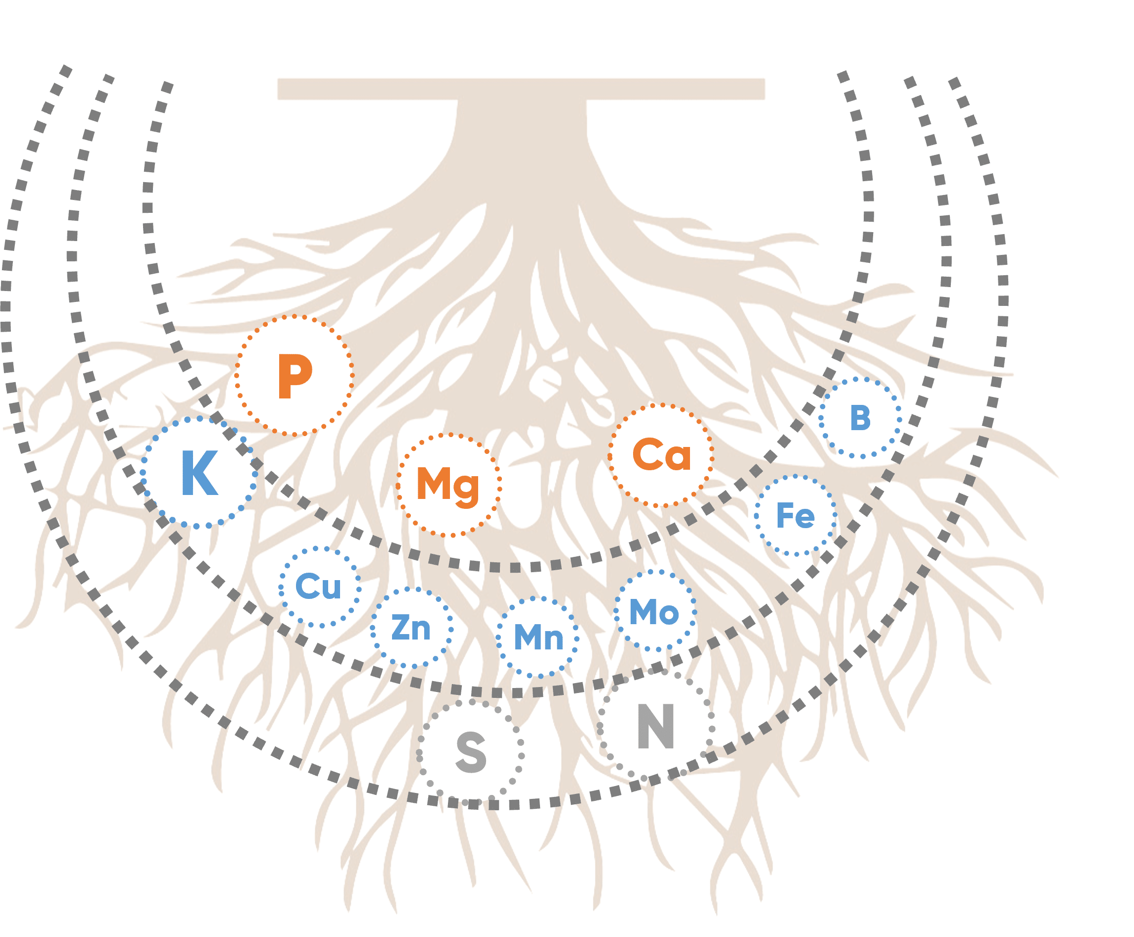MPPA DUO works on nutrient mobility