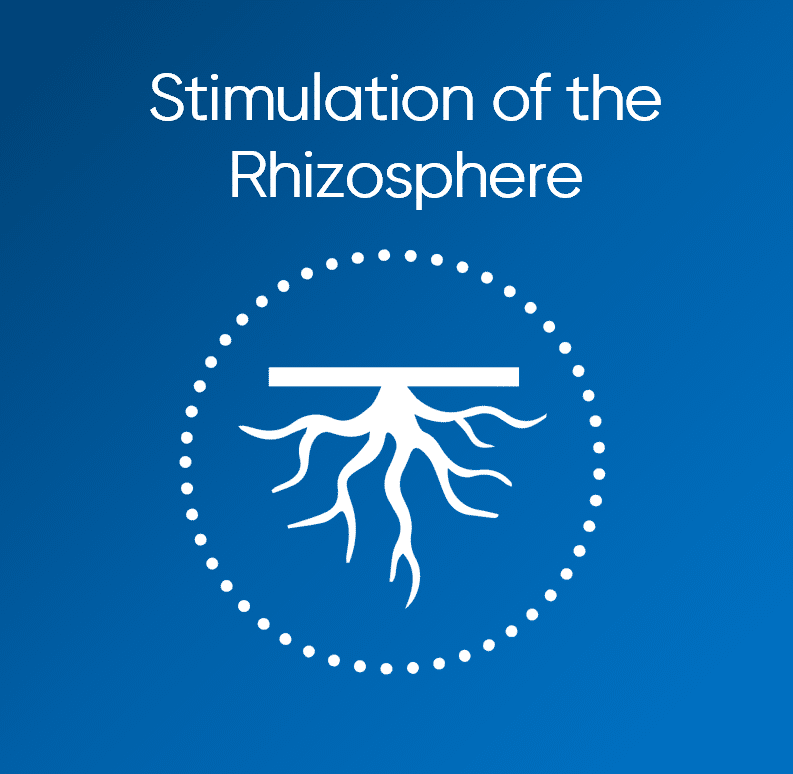 mppa-duo-stimulation-rhizosphere