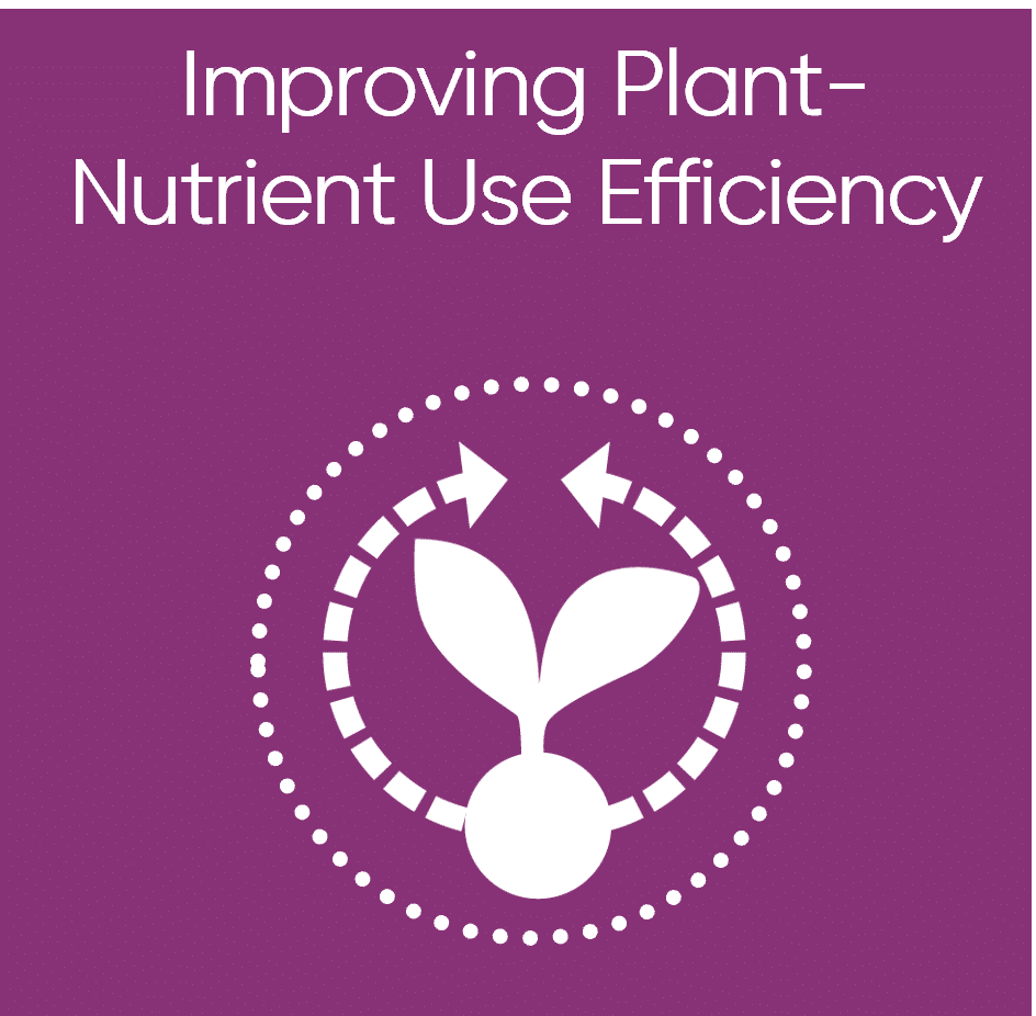 RHIZOVIT - Improving nutrient use efficiency