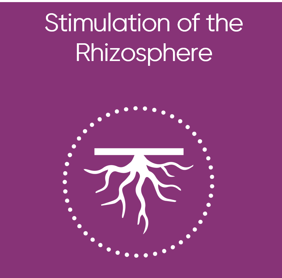 RHIZOVIT - Stimulation of the rhizosphere