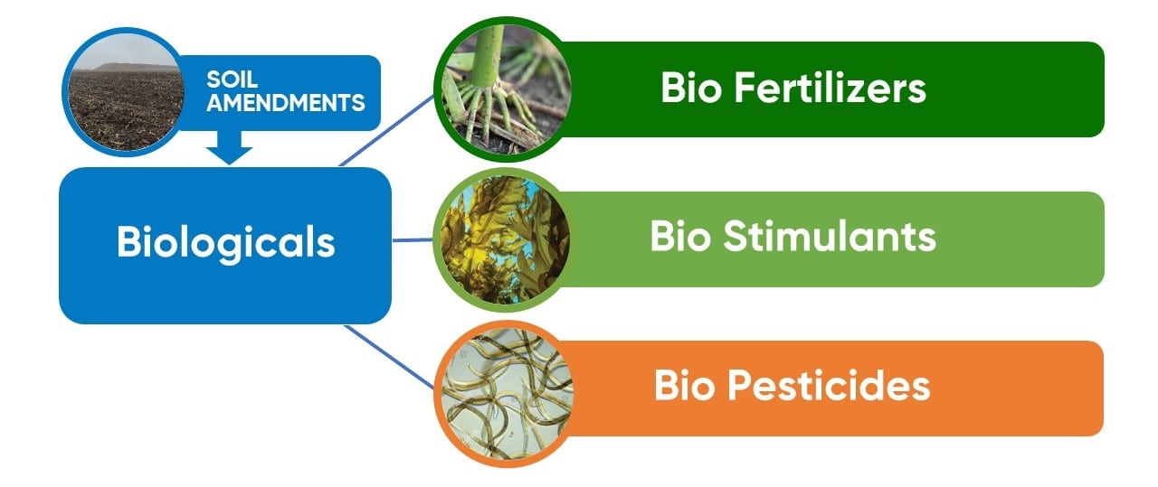 Categories of biological products used in agriculture.