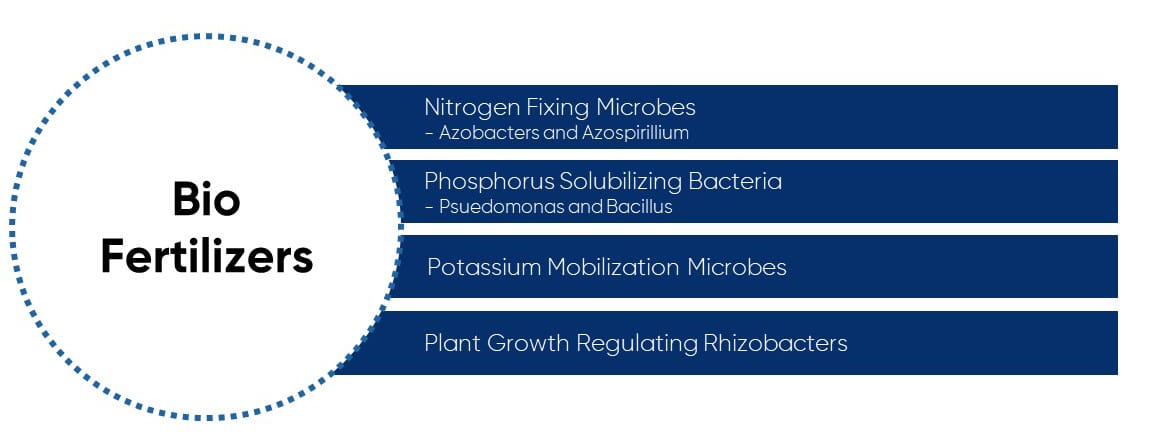 bio-fertilizers
