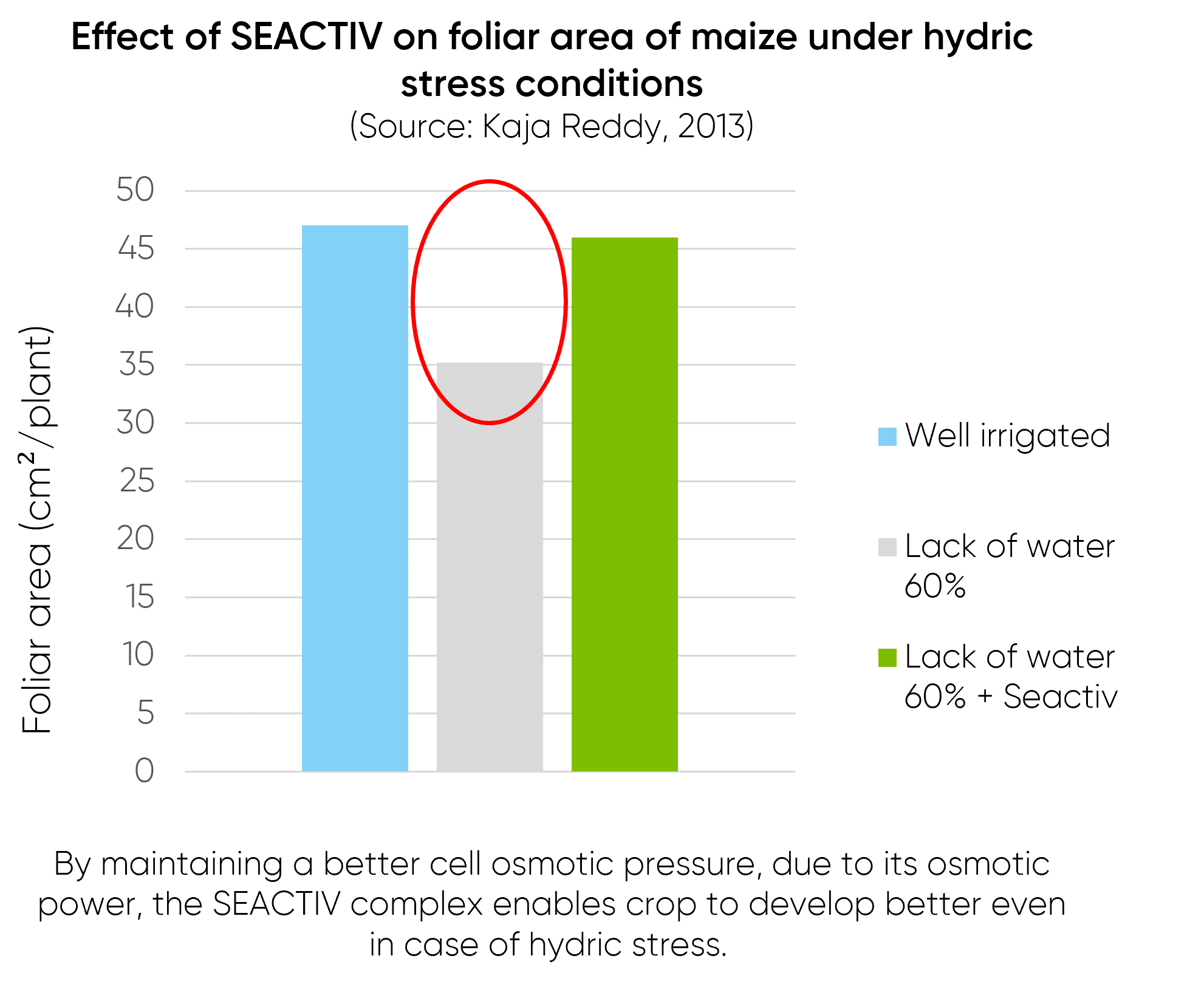 Bar chart showing effect of SEACTIV on foliar area of maize under hydric stress conditions.
