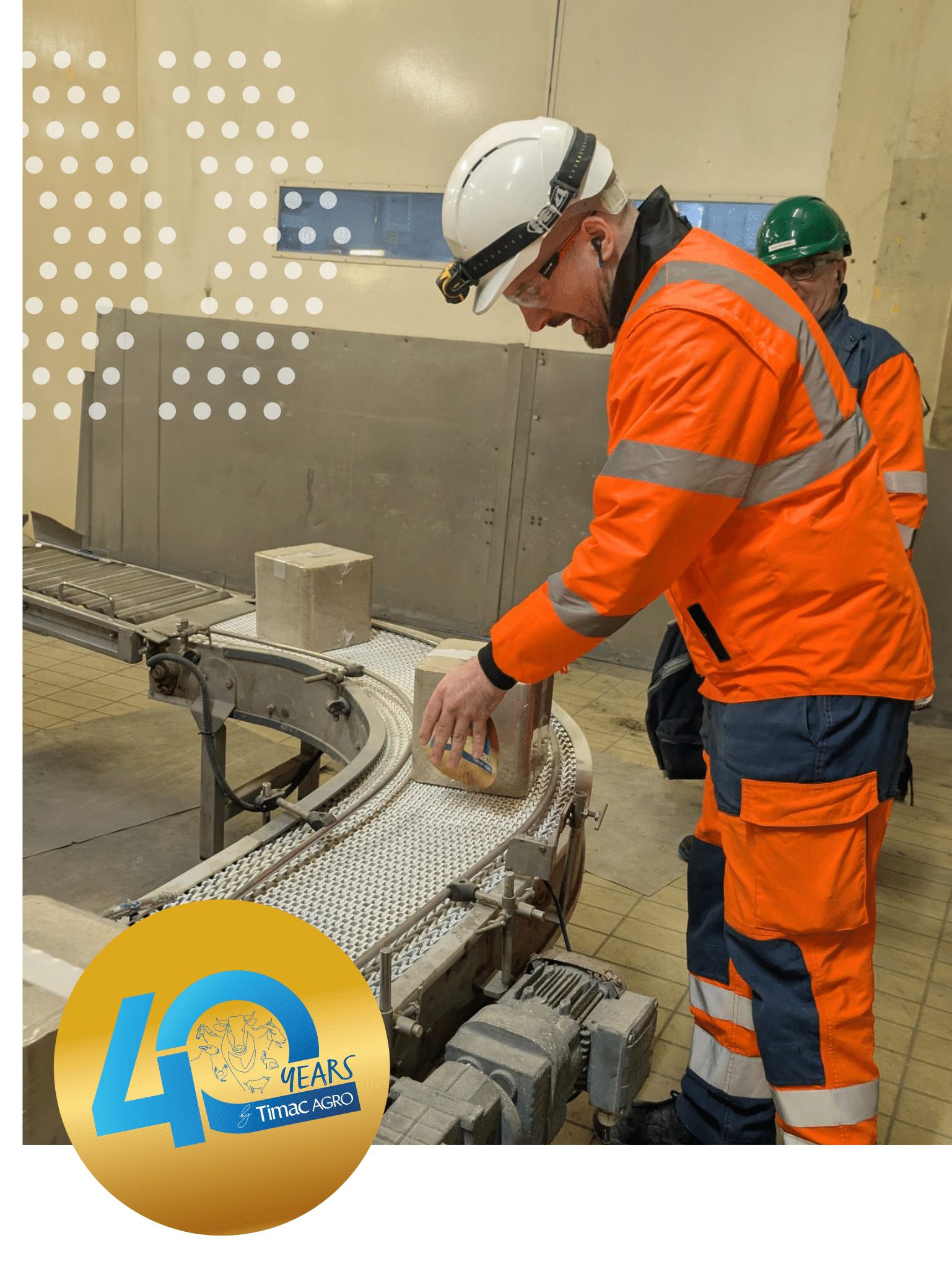 TIMAC AGRO team manufacturing animal nutrition blocks.