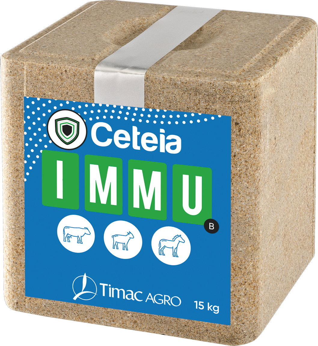 Ceteia IMMU Block