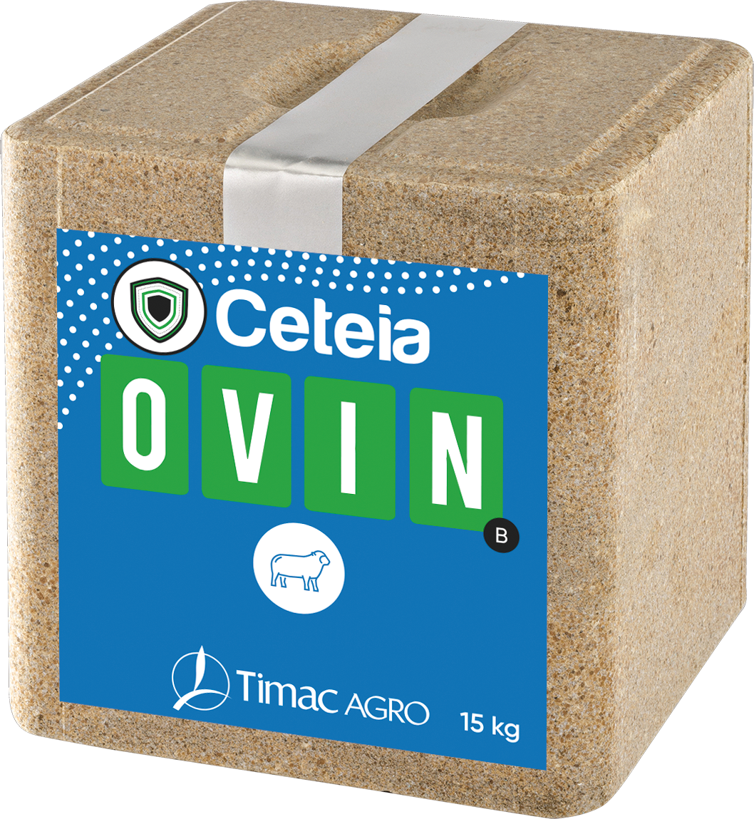 Ceteia OVIN Block