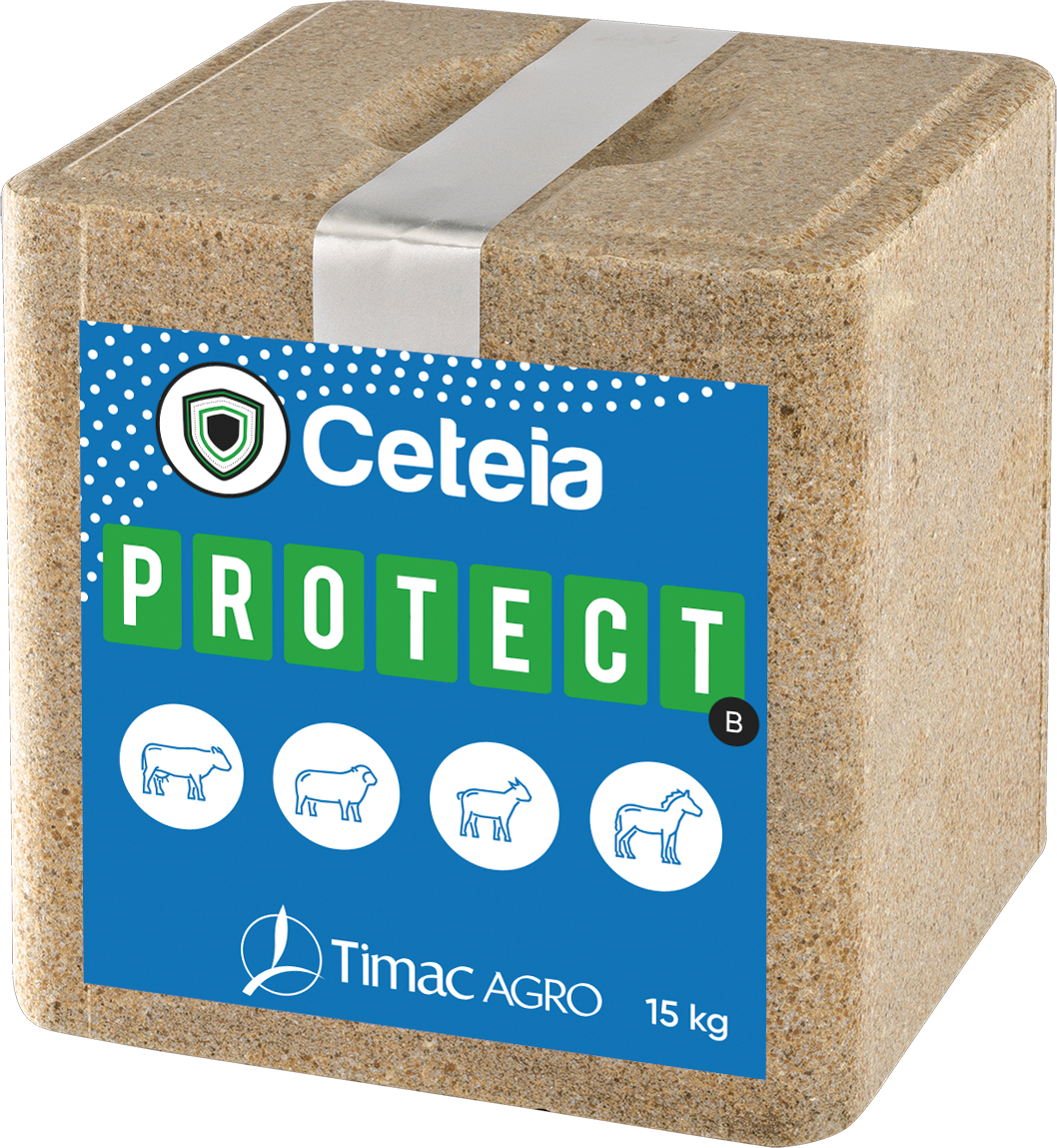 Ceteia PROTECT Block