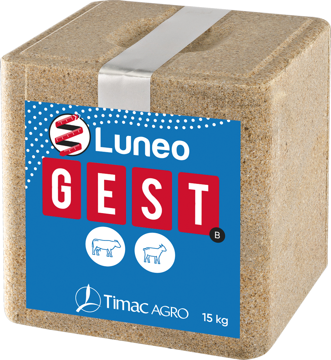 Luneo GEST Block