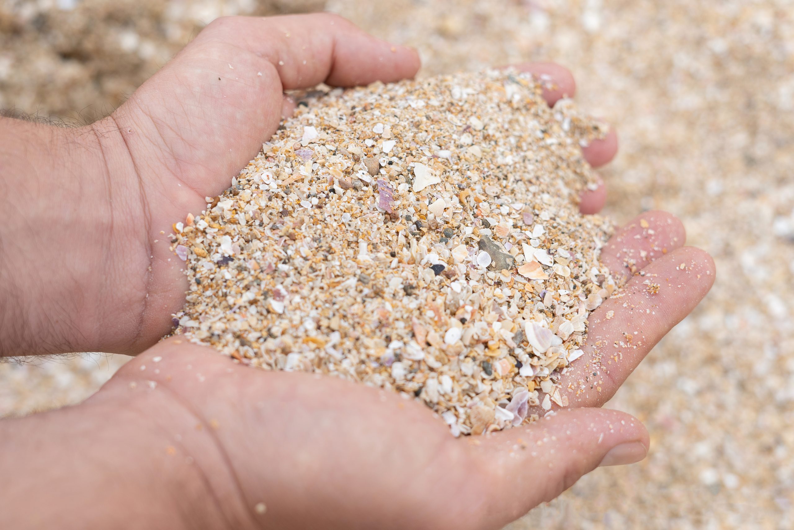 hands-seashell-raw-material