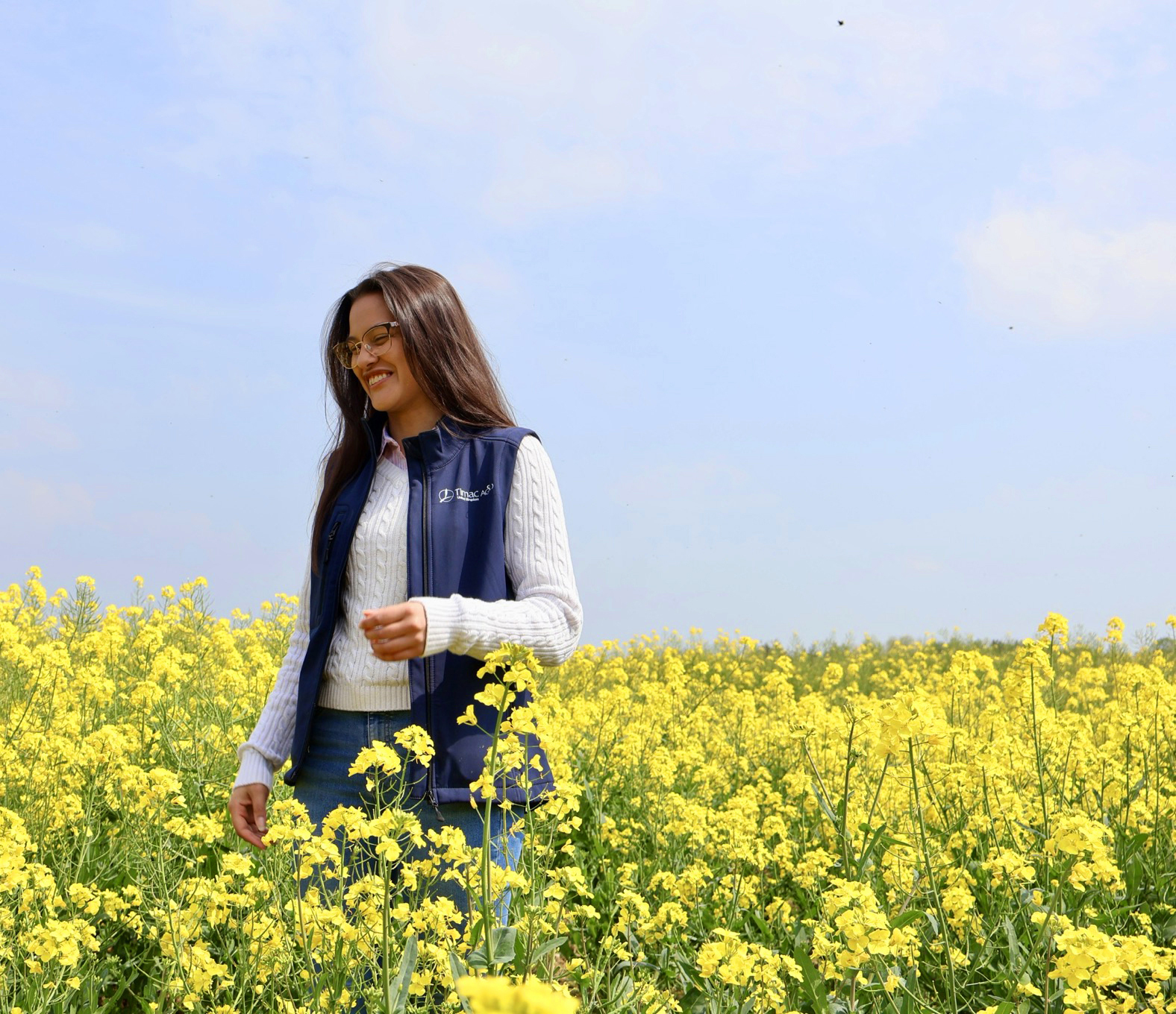 oilseed-crop-flowering