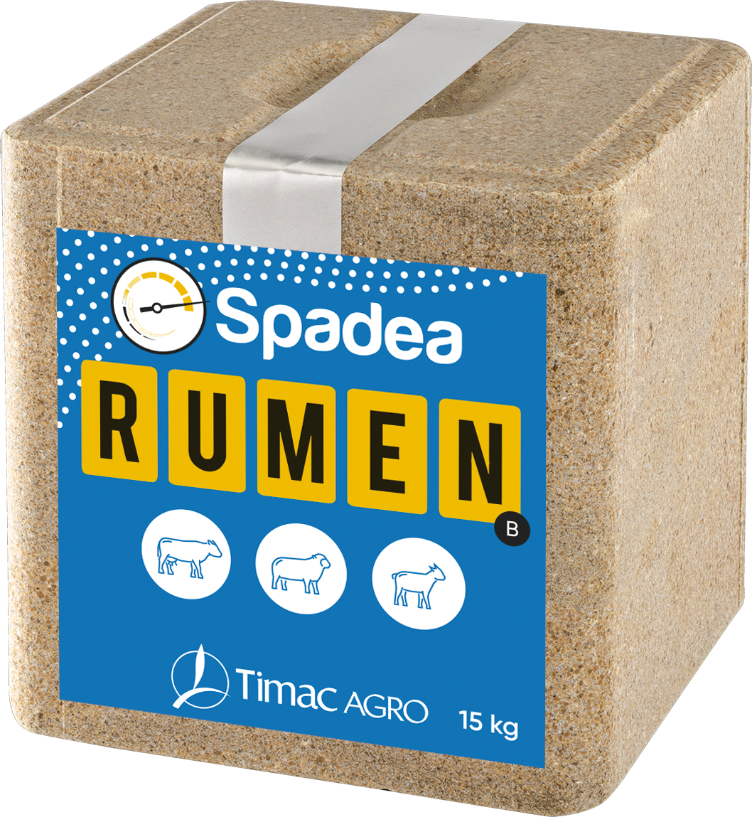 Spadea RUMEN Block