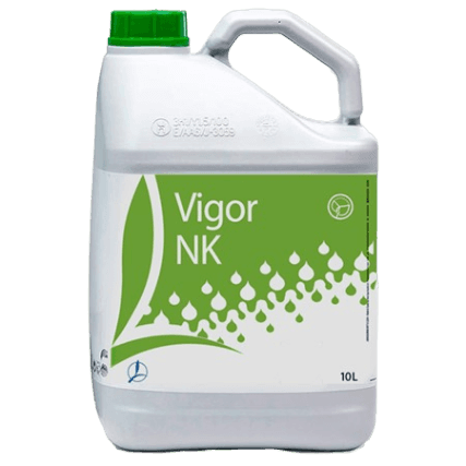 Vigor NK