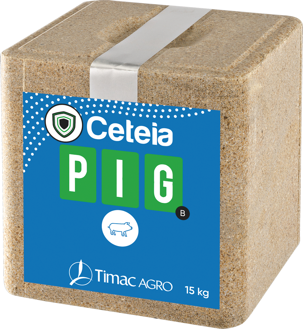 CETEIA PIG B