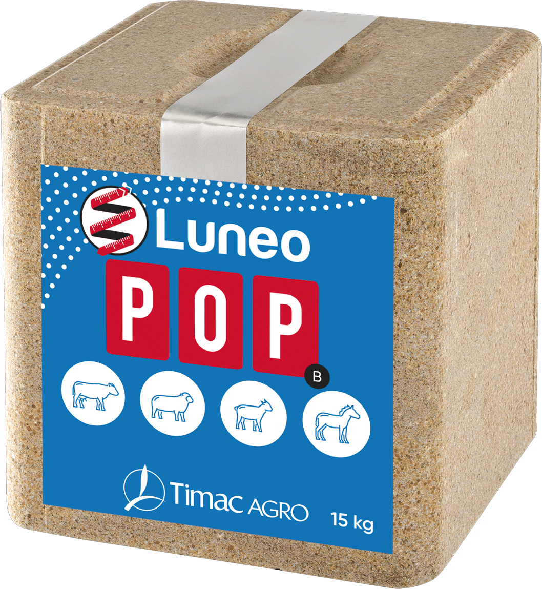 LUNEO POP B