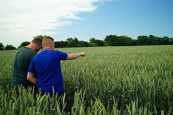 Landwirtschaftliche Beratung