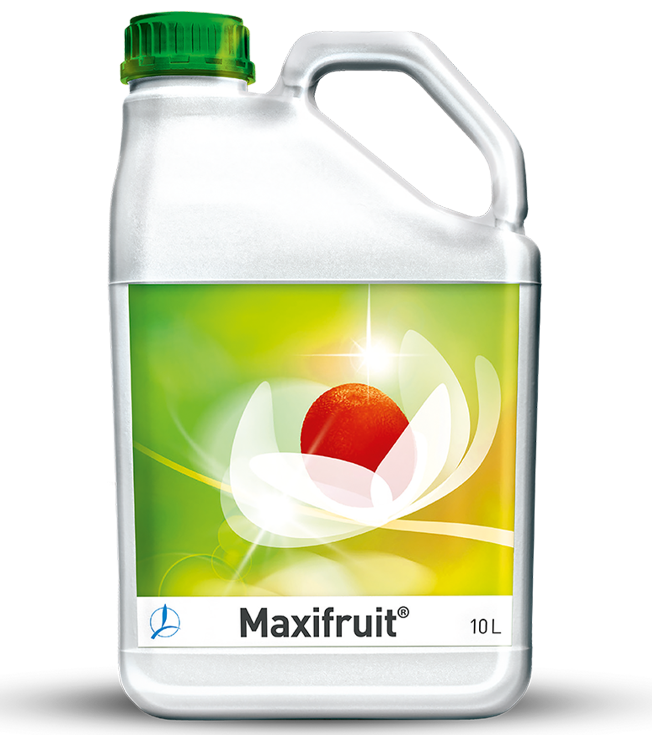 MAXIFRUIT