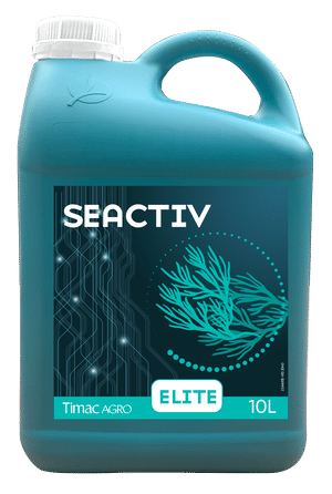 Seactiv Elite