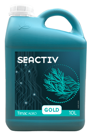 Seactiv Gold