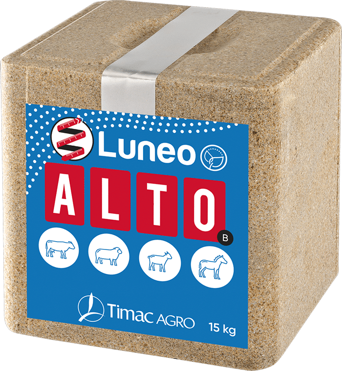 LUNEO ALTO-B