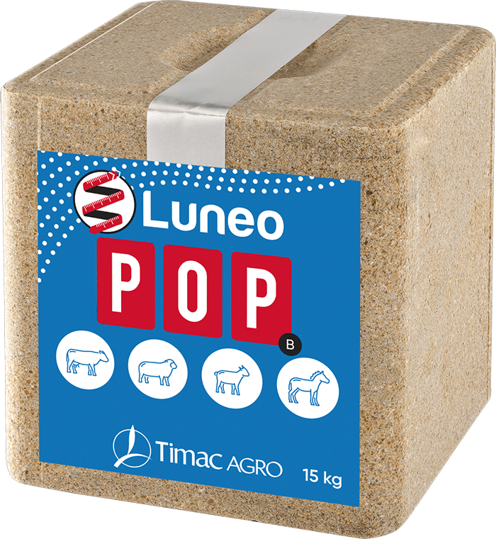 LUNEO POP B