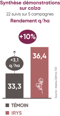 colza,semis,implantation,biostimulant,nutrition végétale