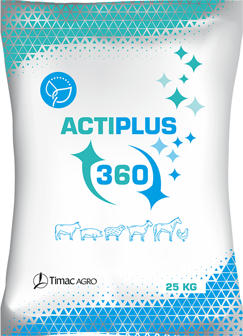 ACTIPLUS 360