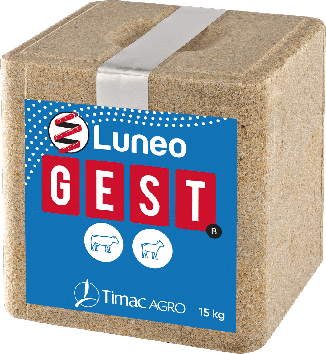 LUNEO GEST B