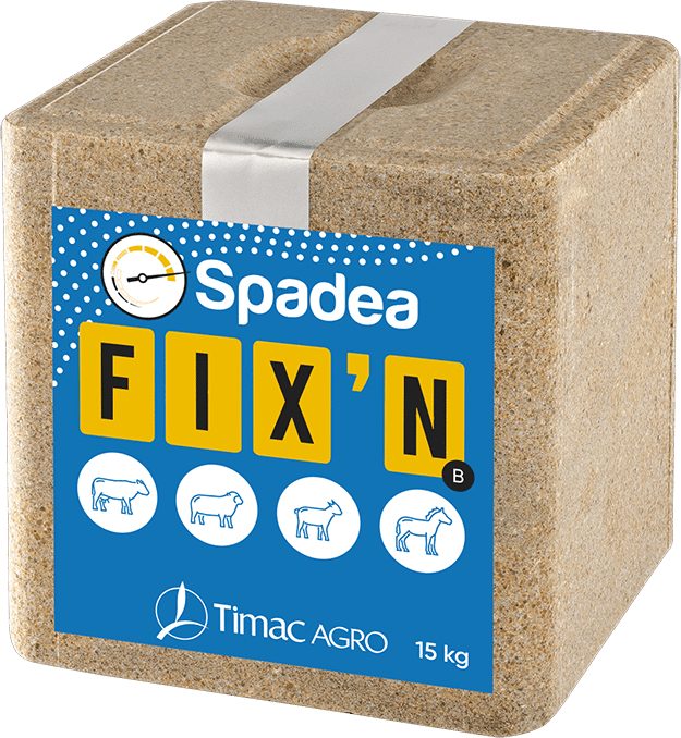 SPADEA FIX'N B